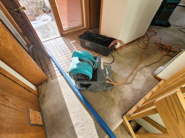 Best Carpet water damage restoration  in Temple Terrace, FL