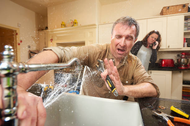  Temple Terrace, FL Water damage restoration Pros